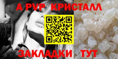 спиды Камышлов